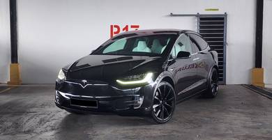 2018 Tesla Model X 100D 100D