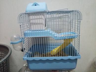 hamster Syrian with cage