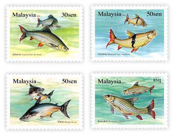 Mint Stamp Fresh Water Fish Series 3 Malaysia 2006