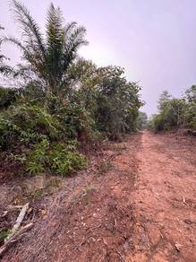 Residential Land in Alor Gajah, MLK