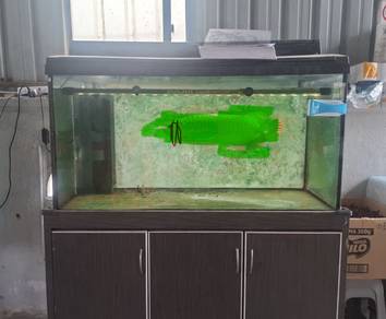 aquarium 4x2x2