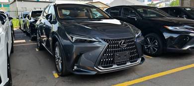 Lexus NX 250 LUXURY in Cheras, KUL
