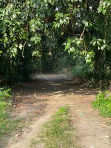 Others Land in Bukit Mertajam, PNG