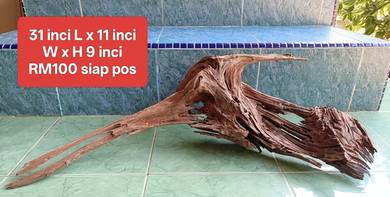 Driftwood barang baek - kayu hiasan aquarium
