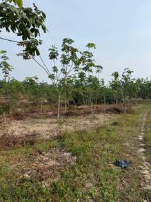 Agricultural Land in Rembau, NSN