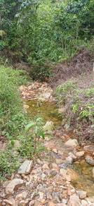 Agricultural Land in Dungun, TRG