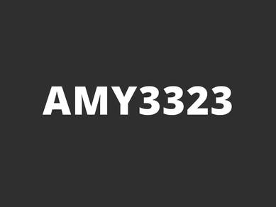AMY3323