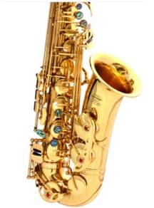 Gold Saxophone sales of E flat -drop alto wind