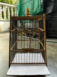 sangkar second