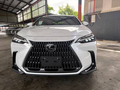 Lexus NX 250 LUXURY in Kepala Batas, KDH