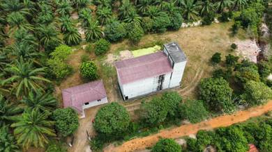 Agricultural Land in Port Dickson, NSN