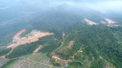 Agricultural Land in Kampong Gajah, PRK