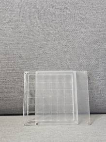 Acrylic sea shell/gold display storage organiser
