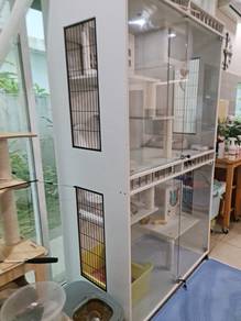 Premium Cat Villa On Bargain Price !
