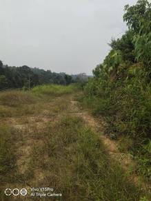 Agricultural Land in Kuala Lipis, PHG
