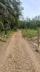 Agricultural Land in Kuala Kangsar, PRK