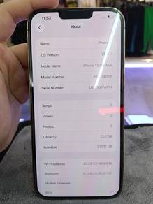 Iphone 13 Promax 