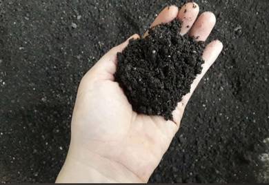 Tanah Hitam Organic Compost