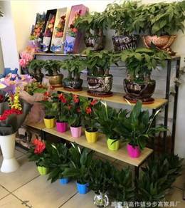 Flower rack pot bunga garden outdoor rak bunga NSY