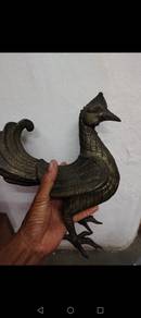 ayam tembaga 