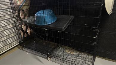 Sangkar Kucing (Cat Cage)