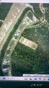 Agricultural Land in Telok Panglima Garang, SGR