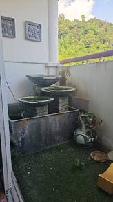 fish water pond 