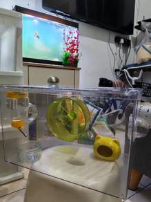 Transparent cage box