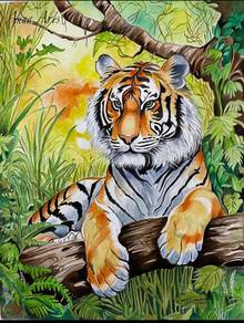 Original Water Colour Drawing - Tiger