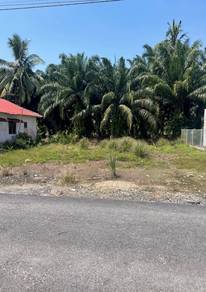 Agricultural Land in Kuala Selangor, SGR