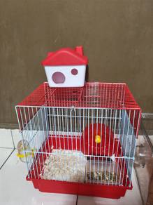 2 Hamsters with New cage