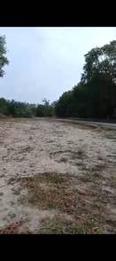 Agricultural Land in Pekan, PHG