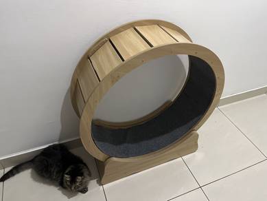 cat threadmild