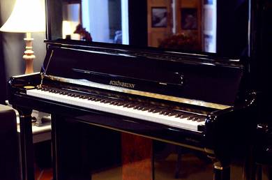 Schönbrunn Full Upright Piano 10 Yrs Warranty