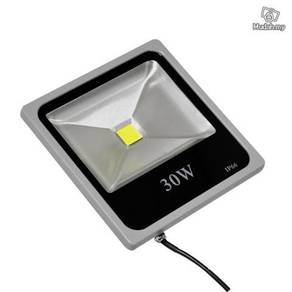 LED Flood light / Spot Light (30w)