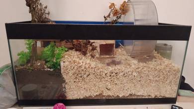aquarium