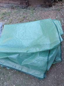 Green house 