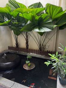 Semi-Detached House For Sale in Johor Bahru,JHR