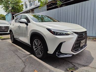 Lexus NX 250 LUXURY in Petaling Jaya, SGR