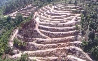 Agricultural Land in Serdang, KDH