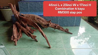 Driftwood 4 kayu hiasan aquarium 5 kaki