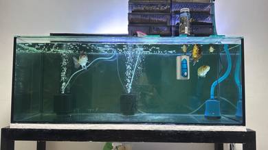 4ft aquarium set for sell