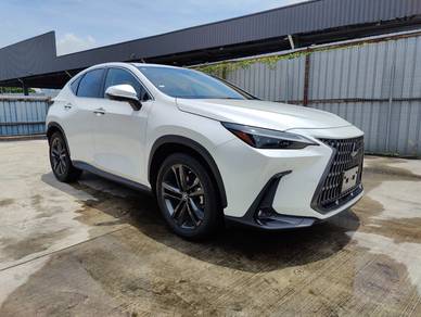 Lexus NX 250 LUXURY in Sungai Besi, KUL