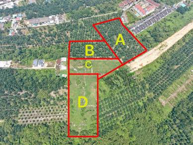 Agricultural Land in Batu Pahat, JHR