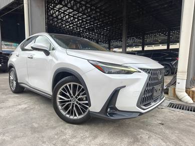 Lexus NX 250 LUXURY in Chan Sow Lin, KUL