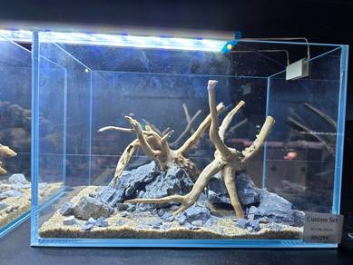 Aquascape Tank 30cm (Driftwood + Rock Setup)