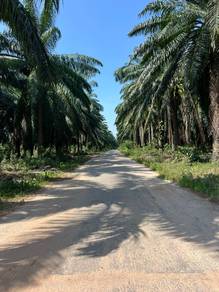 Agricultural Land in Sungai Petani, KDH