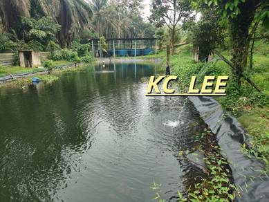 Agricultural Land in Kulim, KDH
