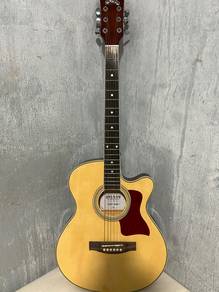 Guitar sparow