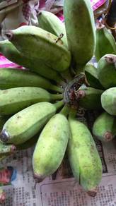 Fresh banana pisang awak